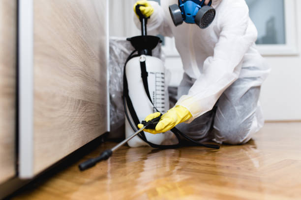 Professional Pest Control in Carol Stream, IL