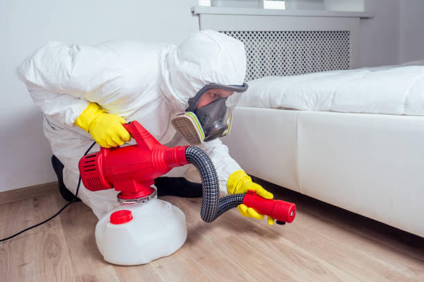 Best Termite Control Services  in Carol Stream, IL