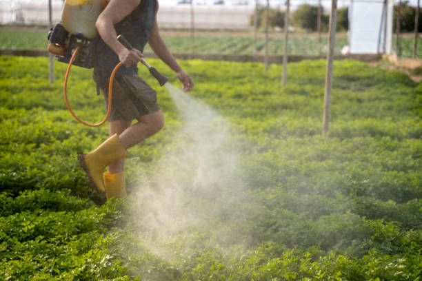 Best Pest Control Cost  in Carol Stream, IL