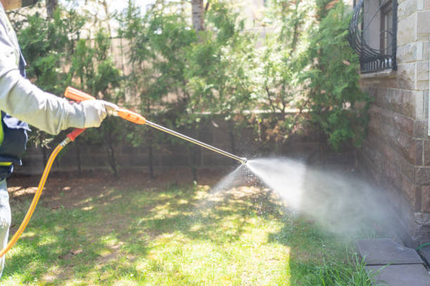 Best Wasp Removal Services  in Carol Stream, IL