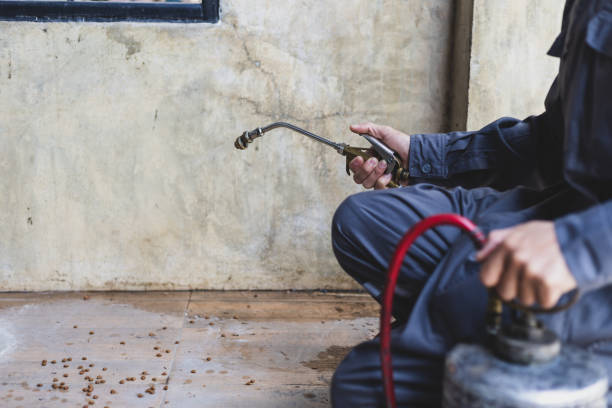Best Mosquito Control Services  in Carol Stream, IL