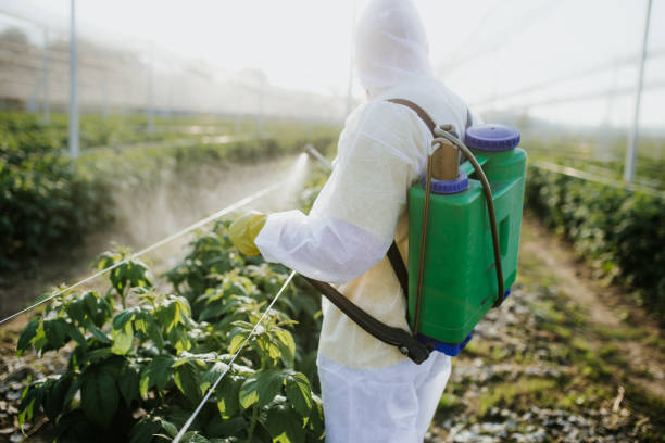Best Bed Bug Extermination  in Carol Stream, IL